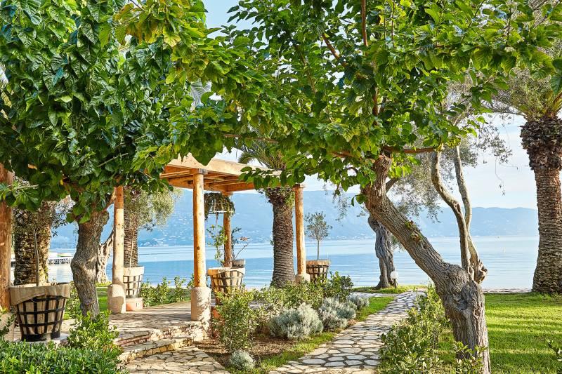 Arum Barut Collection