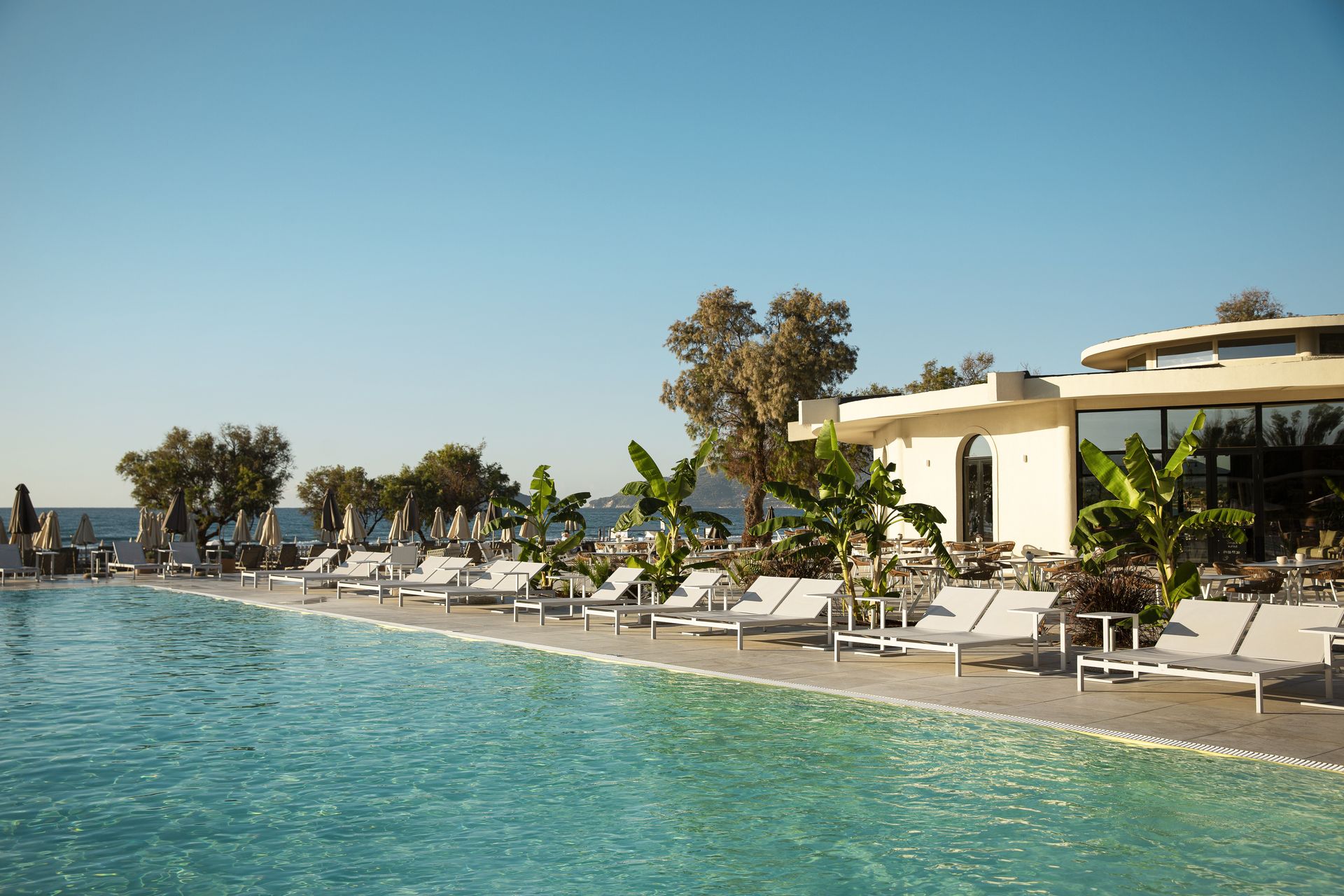 Domes Aulus Zante, Autograph Collection